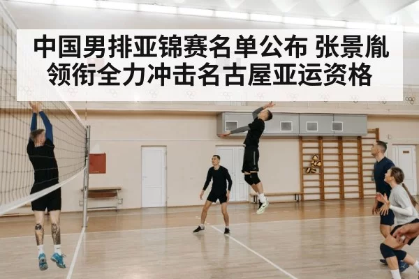 volleyball player spike
