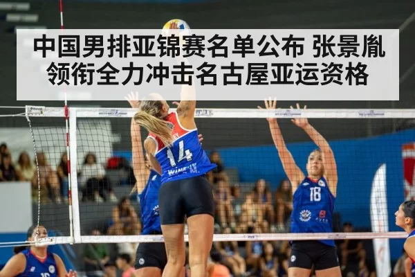 volleyball match action